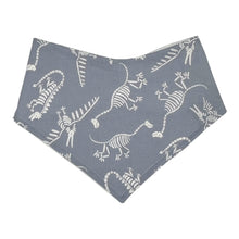 Load image into Gallery viewer, Bandana Bib in "Dino Dig"